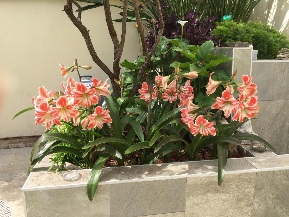 Apartamento Bizcocheros Con Piscina Y Jardin Privado Jerez de la Frontera Extérieur photo